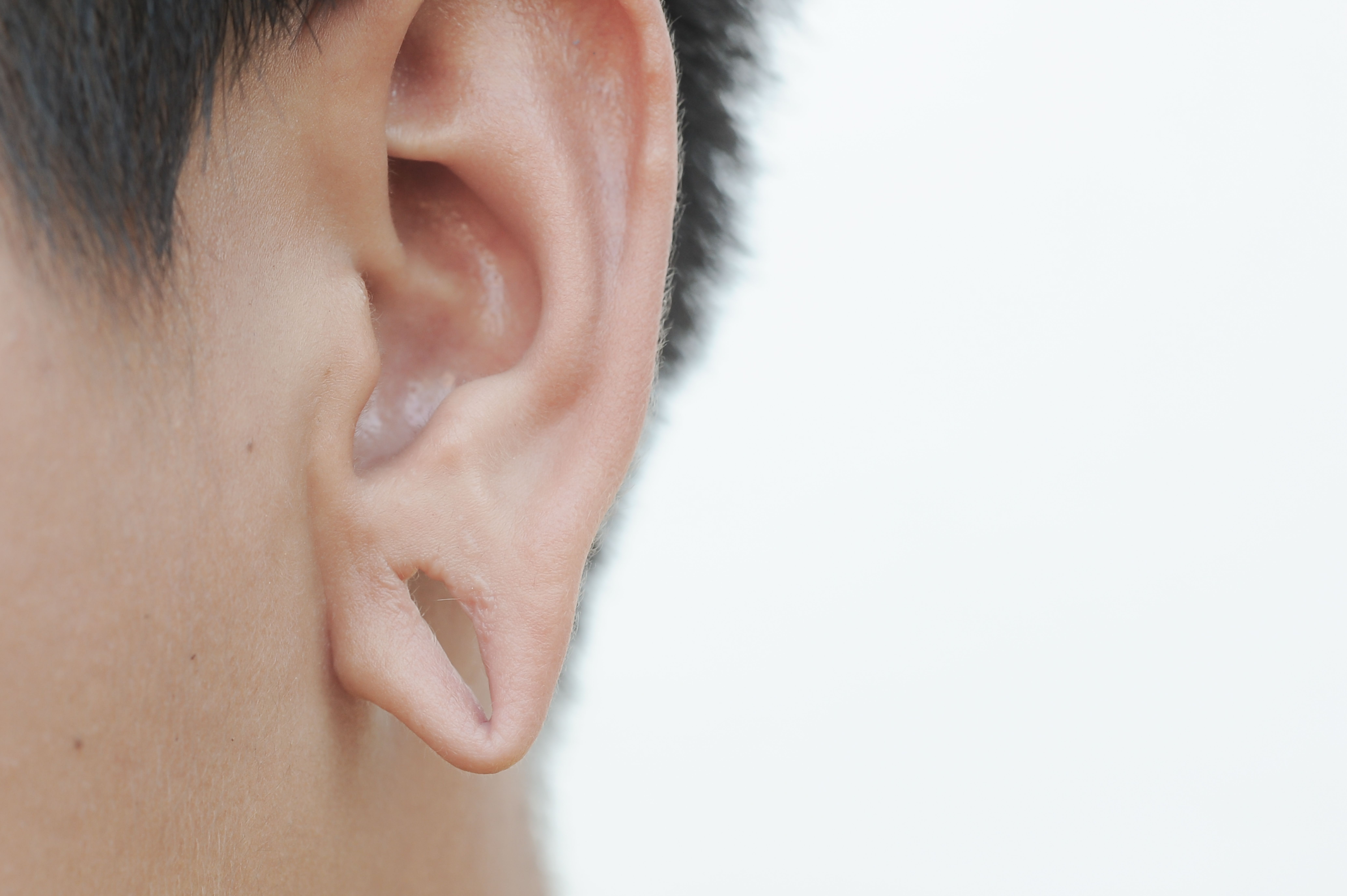 ear-lobe-repair-surgery-Ear-nozzle-aesthetics-procedure-description-reviews.jpg